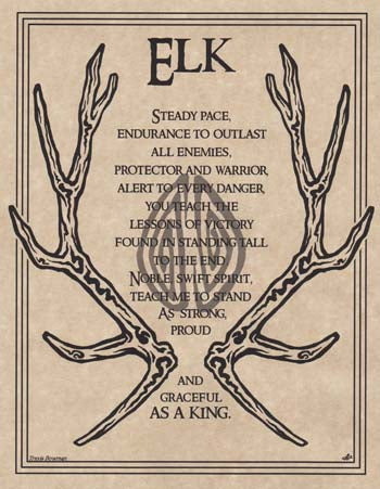 Elk Prayer