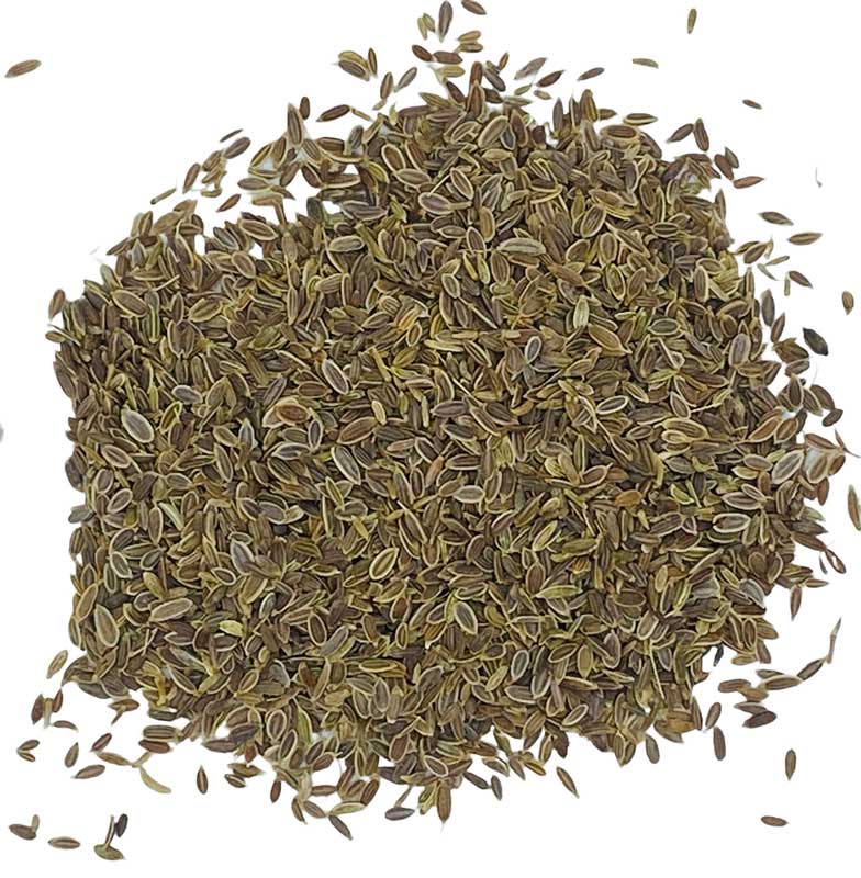 Dill Seed whole 2oz