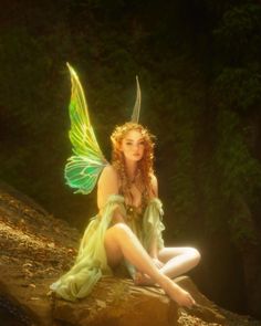 Faeries/Fae