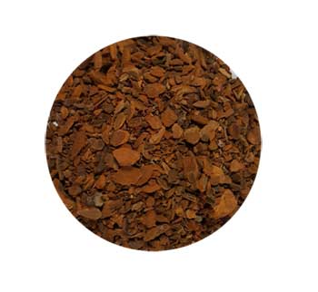 Sassafras Root cut 1oz  (Sassafras albidium)