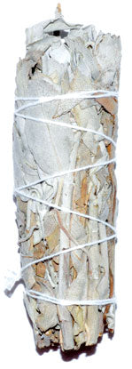 California White Sage smudge 3"