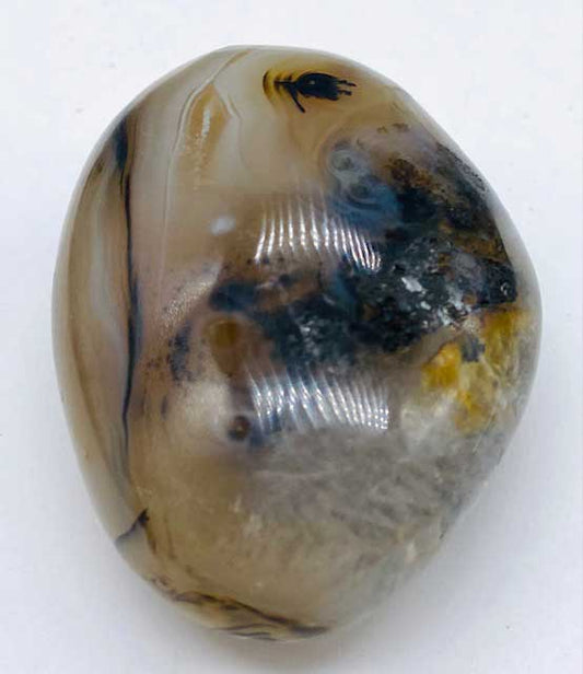 Agate, Dendritic palm stone